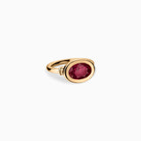 Token Faceted Ruby Ring